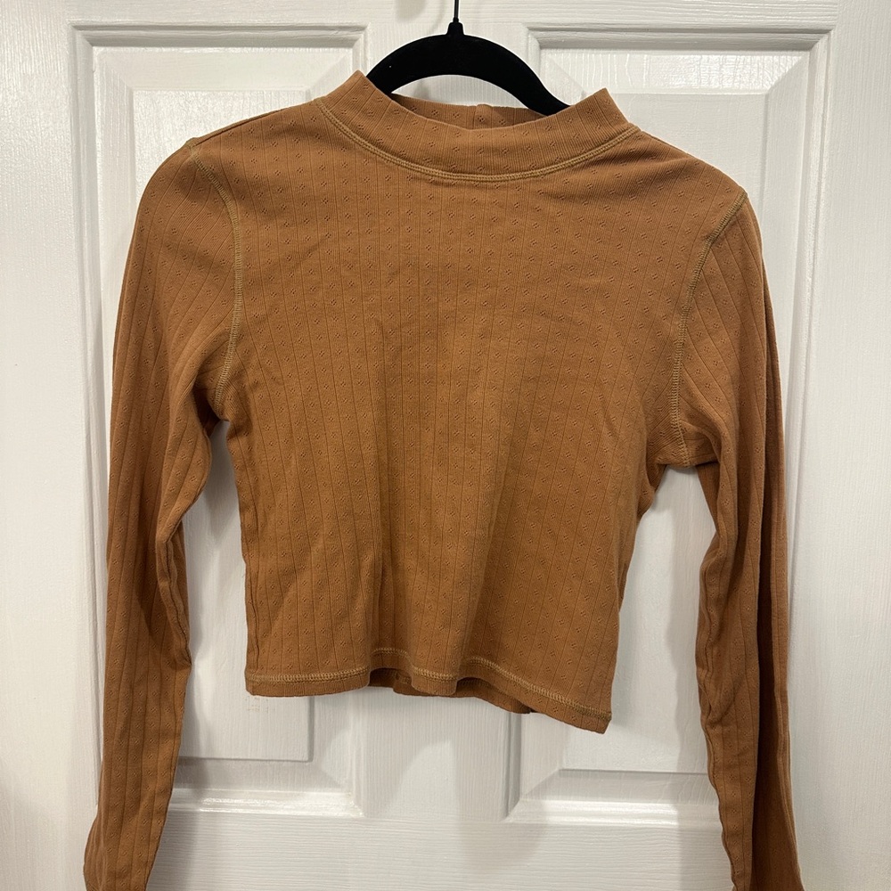 American Eagle Outfitters Long Sleeve Crop Top in Camel Brown